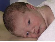 Bild von Linus